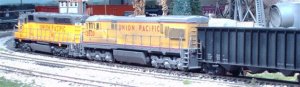 HPIM6101 (Small).JPG