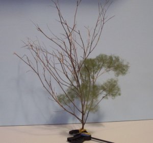 tree2.jpg
