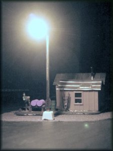 nightshot.jpg