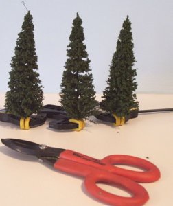 pines2.jpg