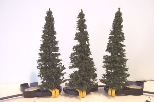 pines3.jpg
