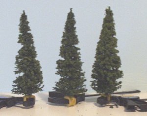 pines4.jpg
