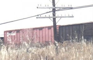 cp movement.jpg