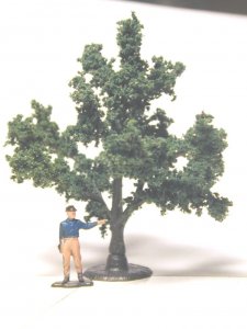 tree 1.jpg