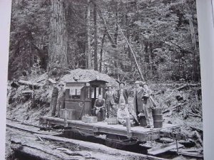flat-caboose-passanger car.jpg