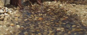 river3.jpg