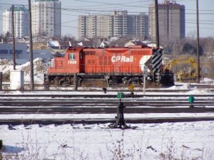 cp yard.jpg