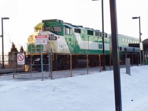 go train 1.jpg
