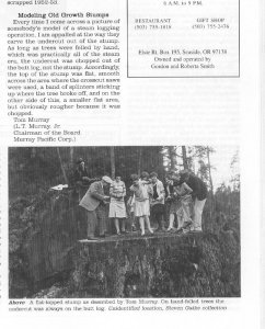 stump.jpg
