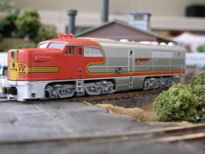 Copy of PC250215.JPG
