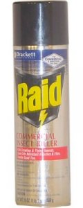Raid.jpg