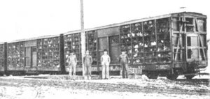 poultry car.jpg