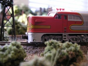 Copy of PC290282.JPG
