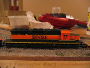 IMG_2455.jpg