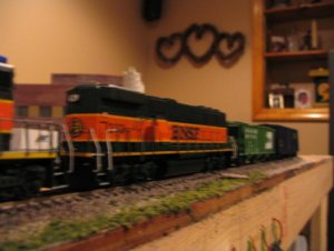 IMG_2536.jpg