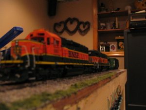 IMG_2537.jpg