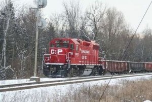 IMG_0273.jpg
