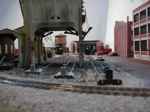 Long Shot 1.jpg