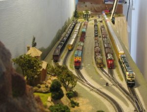 yard.jpg