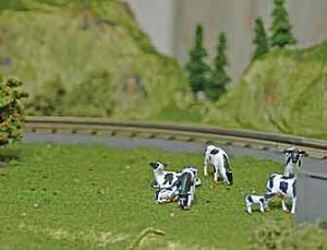 cow1.jpg