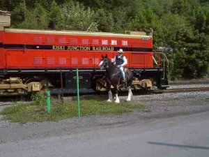 7135horse.jpg