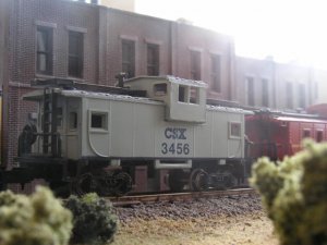 Copy of P3100456.JPG