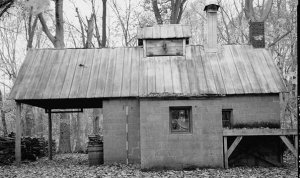 Sugar Shack.jpg