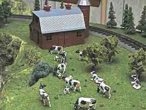 cow.jpg