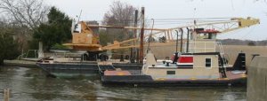 IMG_0987GG.jpg