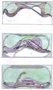 layout2.jpg