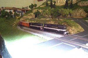 DCP_0780.jpg