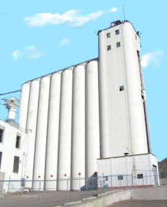 Hayden flour-now.jpg
