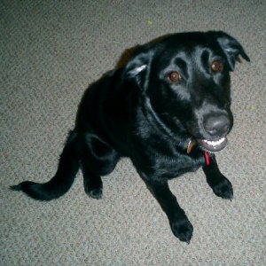 Dora6months.jpg