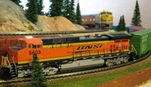 hobnsf.JPG