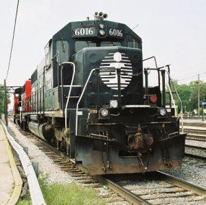 6016.jpg