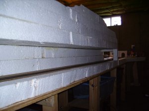 PICT0330.JPG