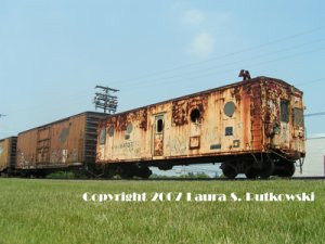 LSR_MWK0954T.jpg