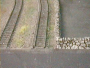 DSC00007.jpg