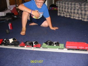 the puppy express2.jpg