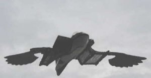 against sky.jpg