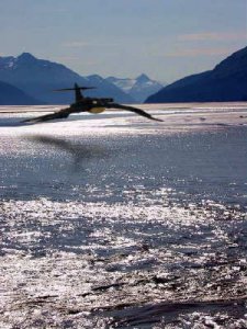 skip over turnagain.jpg