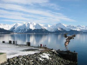 skip in Seward.jpg