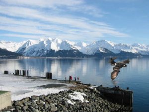 skip in Seward.jpg
