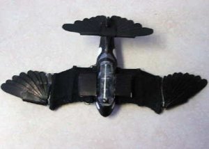 wings out.JPG