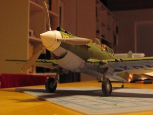 P40b-1.jpg