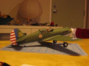 p40b-3.jpg
