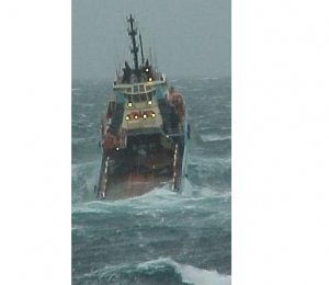 bonavista stalefish.JPG