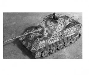 Tiger II ambush web view BW.JPG