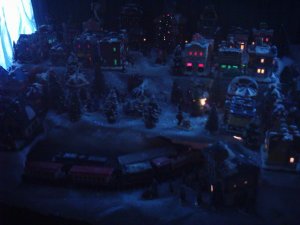 DSC_0920.JPG