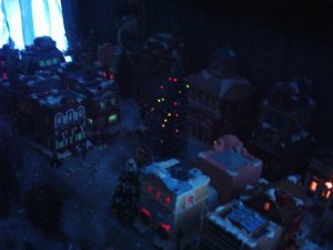 DSC_0923.JPG